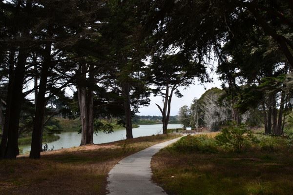 Lake Merced Cypress Point Trail