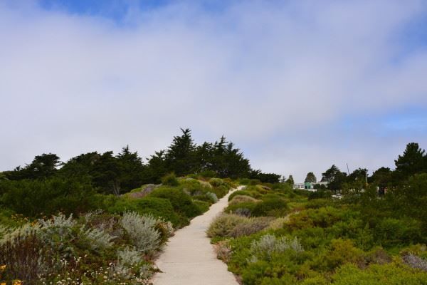 Lake Merced Cypress Point