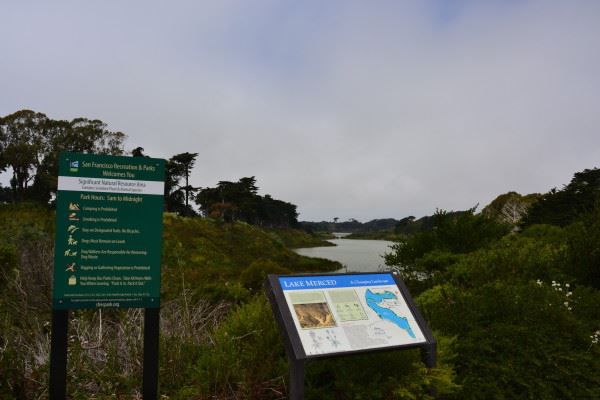 Lake Merced Interpretive Sign