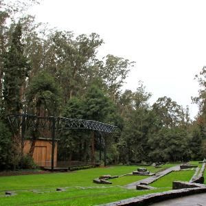 Sigmund Stern Grove