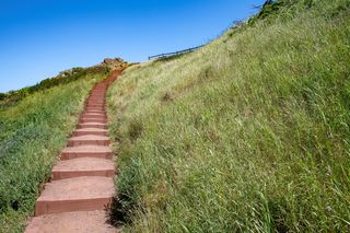 Tank Hill Trail Improvements