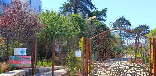 Cayuga Playground