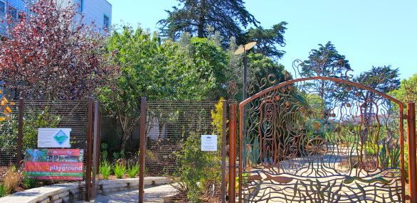 Cayuga Playground