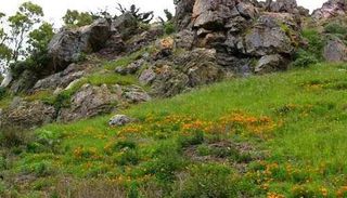 Glen Canyon Park