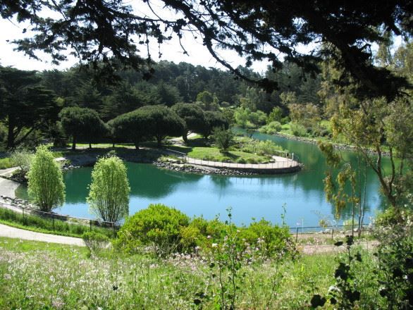 Glen Canyon Park Pond