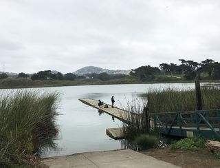 Lake Merced Boat Dock Replacement Project