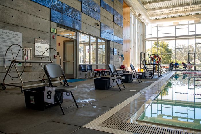 Sava Pool 4