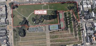 Alta Plaza Park Irrigation Improvements