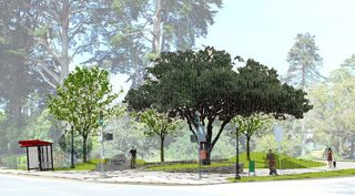 Golden Gate Park