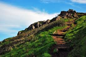 Tank Hill Trail
