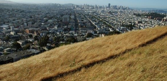 Bernal Heights Park Trail
