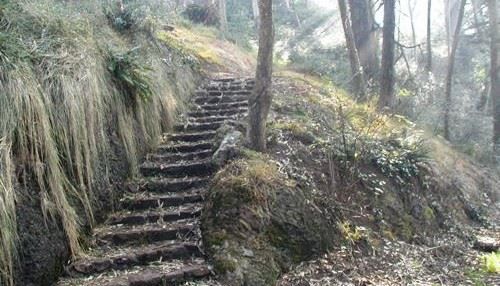Mount Davidson Trail