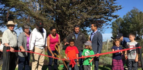 Little Hollywood Park Grand Opening