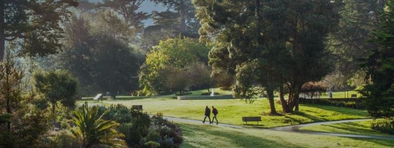 San Francisco Botanical Garden_c_r
