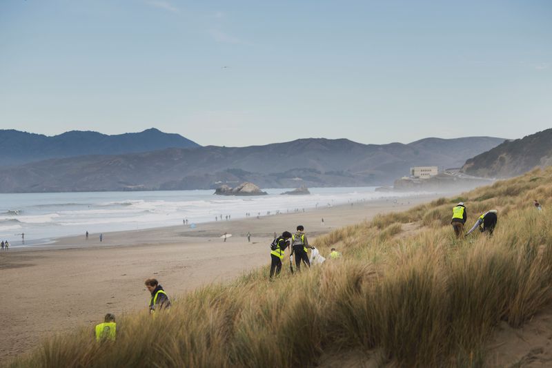 Volunteers working to restore native dunes at Ocean Beach