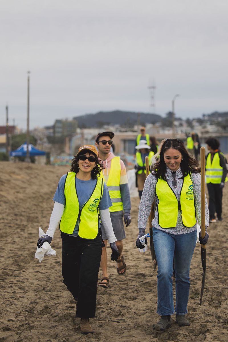 Volunteers working to restore native dunes at Ocean Beach