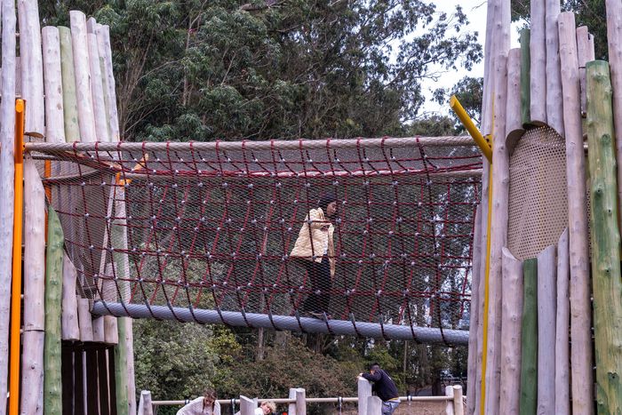 Stern Grove Net structure