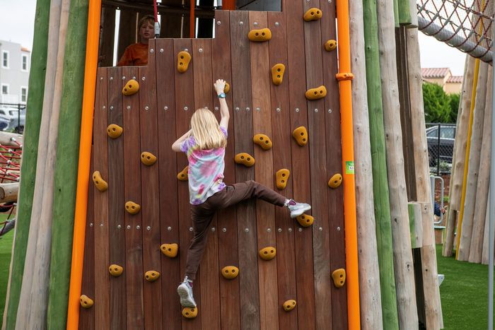 Stern Grove climbing structure or climbing wall