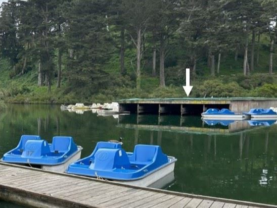 Boatshed for Blog June 2026_arrow