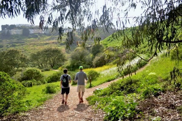 Landas ng Creeks to Peaks sa Glen Canyon