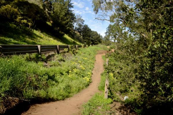 Landas ng Creeks to Peaks sa Portola Drive