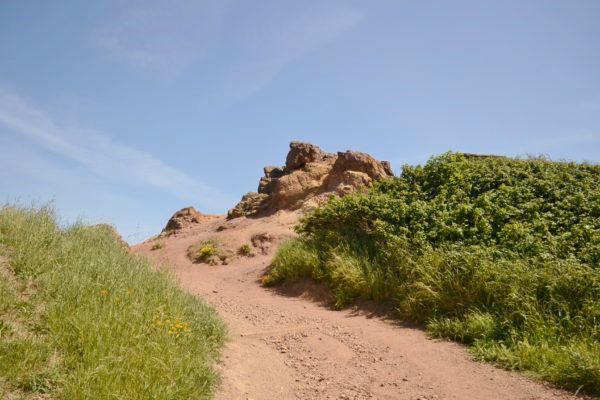 Looking up a dirt trail on a hill