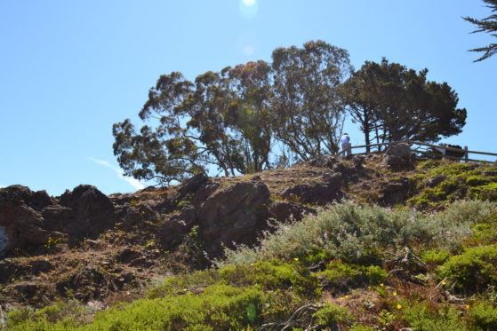Grandview Summit