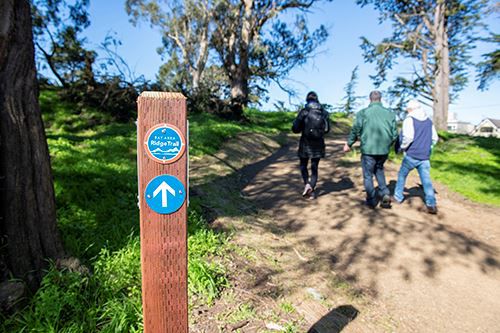 park trail improvements