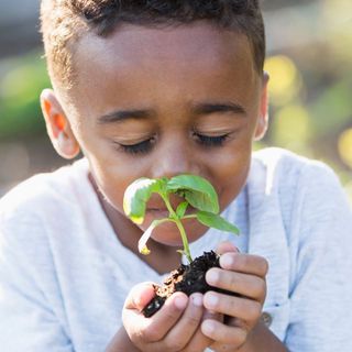 Hardin ng Komunidad ng La Grande