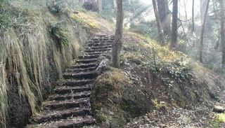 Mount Davidson Trails Improvement Project