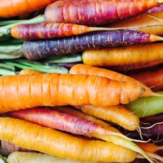 Lote Pang-agrikultura sa Luntiang Daan ng Lambak Vis