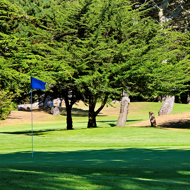 Green ng Golf 2