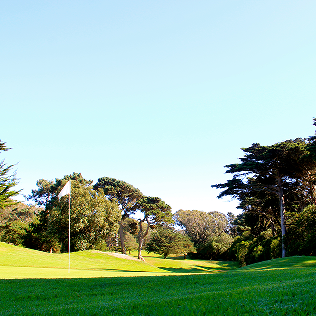 GGP Golf 555