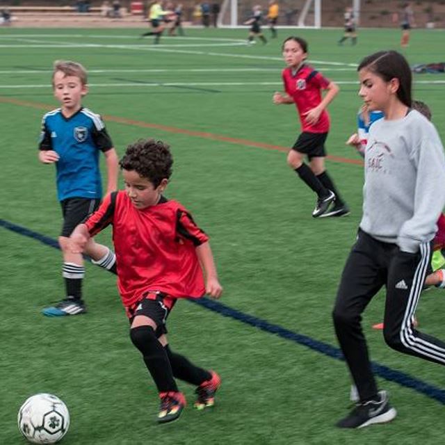 Play fieldS PROGRAM