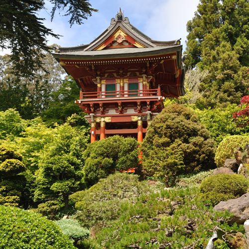 日本茶园的宝塔从葱郁绿意中拔起
