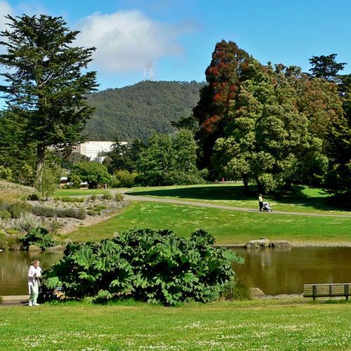 Mga taong naglalakad sa isang daanan sa Parke ng Golden Gate