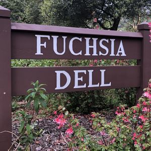 Kahoy na karatula para sa Libis ng Fuchsia
