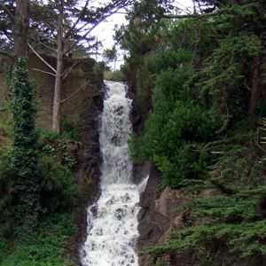 肯尼迪大道旁奔涌的彩虹瀑布
