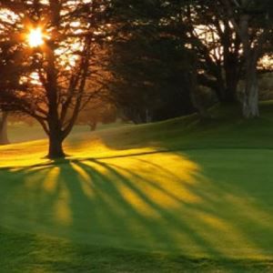 Sikat ng araw na tumatagos sa mga puno sa isang larangang golf