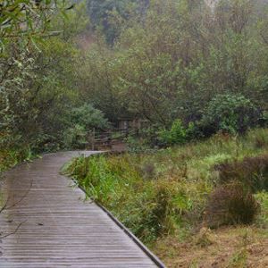 park trailS (2008 Bond)