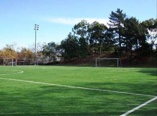 Youngblood Coleman Synthetic Turf Replacement